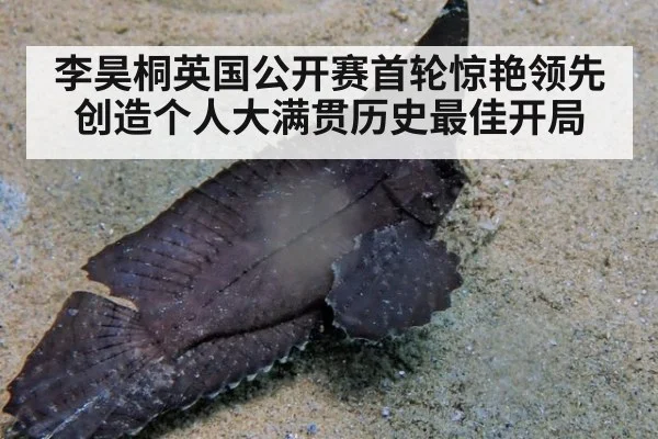 李昊桐英国公开赛首轮惊艳领先 创造个人大满贯历史最佳开局