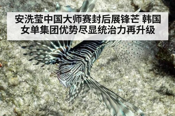 安洗莹中国大师赛封后展锋芒 韩国女单集团优势尽显统治力再升级
